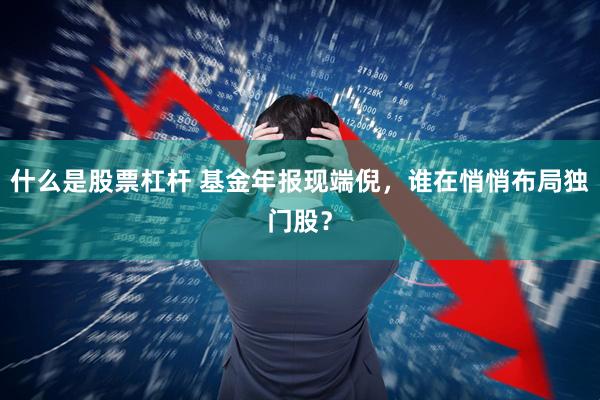 什么是股票杠杆 基金年报现端倪，谁在悄悄布局独门股？