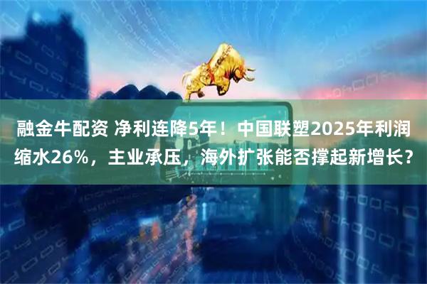 融金牛配资 净利连降5年！中国联塑2025年利润缩水26%，主业承压，海外扩张能否撑起新增长？